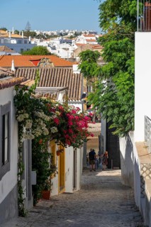 Old town alleys, houses, partly lushly overgrown, Tavira, in the Algarve, Portugal