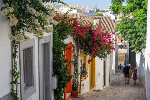 Old town alleys, houses, partly lushly overgrown, Tavira, in the Algarve, Portugal