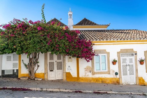 Old town alleys, houses, partly lushly overgrown, Tavira, in the Algarve, Portugal