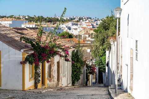 Old town alleys, houses, partly lushly overgrown, Tavira, in the Algarve, Portugal