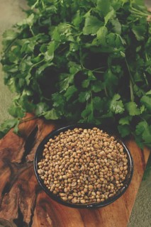 A bunch of fresh cilantro, coriander seeds and bowls, close-up, top view, no people, food and