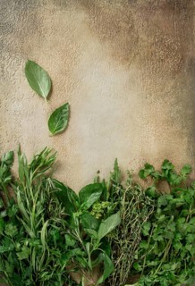 A variety of fresh herbs including bay leaves, cilantro, and thyme are neatly arranged along the