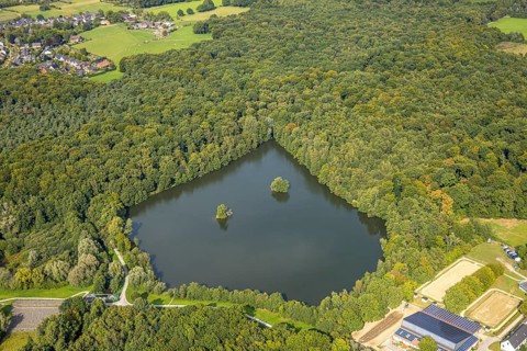 Aerial view, Rotbachsee in the forest, Oberlohberg, Dinslaken, Ruhr area, North Rhine-Westphalia,