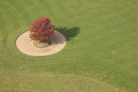 Aerial view, red maple tree on a green meadow, An den Höfen, shapes and colours, Bruckhausen,