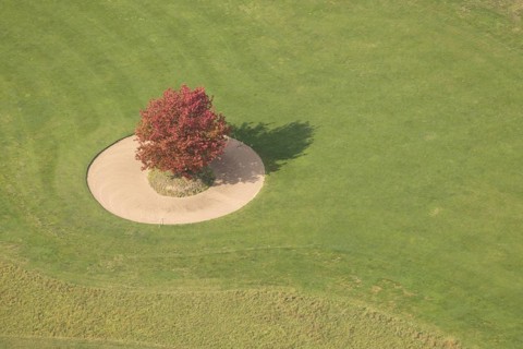 Aerial view, red maple tree on a green meadow, An den Höfen, shapes and colours, Bruckhausen,