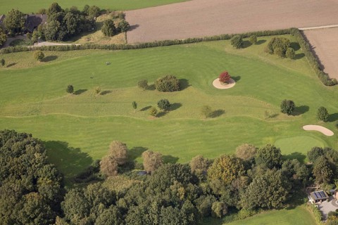 Aerial view, red maple tree on a green meadow, An den Höfen, shapes and colours, Bruckhausen,