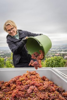 Together with the Saxon Minister of Tourism, Barbara Klepsch, the winegrowers of Schloss