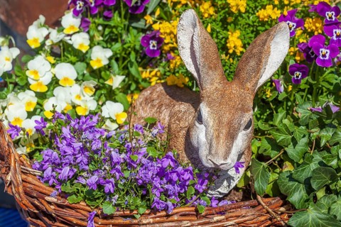 Easter bunny with flowers, decoration, figure at the Bremen Easter Fair, Bürgerweide, Bremen,