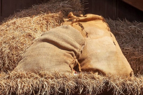 Flour sacks as decoration at the Bremer Osterwiese fair, Bürgerweide, Bremen, Germany