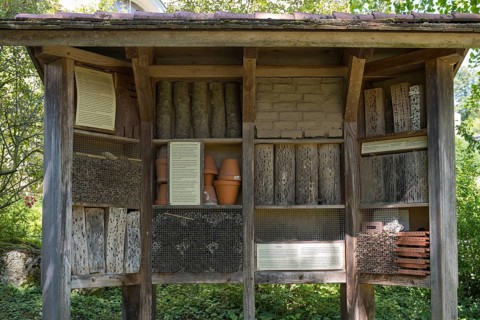 Insect hotel, nesting aids, Coburg, Upper Franconia, Franconia, Bavaria, Germany