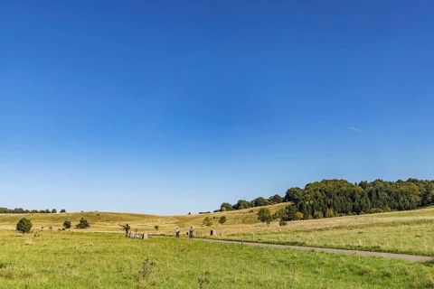 Pristine landscape in the Swabian Alb biosphere reserve with blue skies and small clouds. The