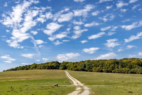 Pristine landscape in the Swabian Alb biosphere reserve with blue skies and small clouds. The