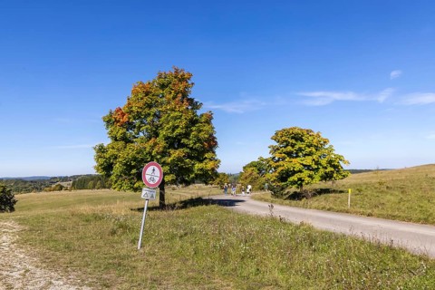 Hikers in the Swabian Alb biosphere reserve. The former military training area in Münsingen is an