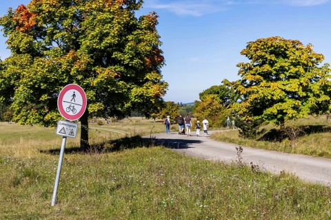 Hikers in the Swabian Alb biosphere reserve. The former military training area in Münsingen is an