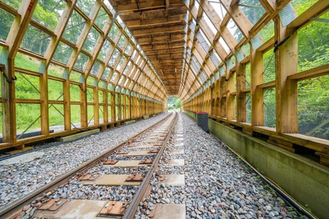 An open tunnel with a view of a green environment and an illuminated interior, construction of the