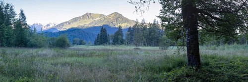 Moor at sunrise in spring, moor pond near Oberstdorf, behind it the Fellhorn, 2037m, Oberallgäu,