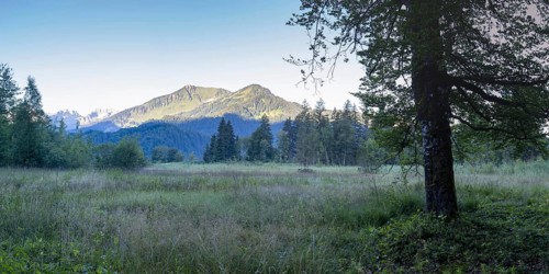 Moor at sunrise in spring, moor pond near Oberstdorf, behind it the Fellhorn, 2037m, Oberallgäu,