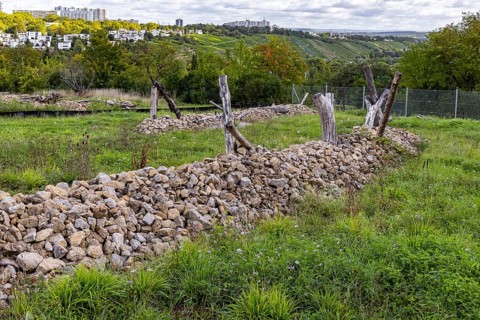 Areas with artificial stone piles for lizards. The city of Stuttgart has cleared allotments in the