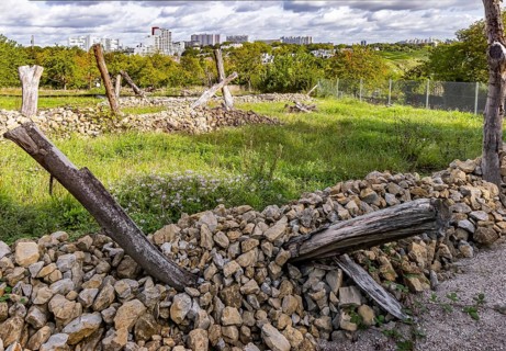 Areas with artificial stone piles for lizards. The city of Stuttgart has cleared allotments in the