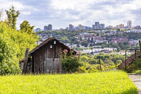 View of apartment blocks in Neugereut. Allotment garden on the Schnarrenberg with garden shed in