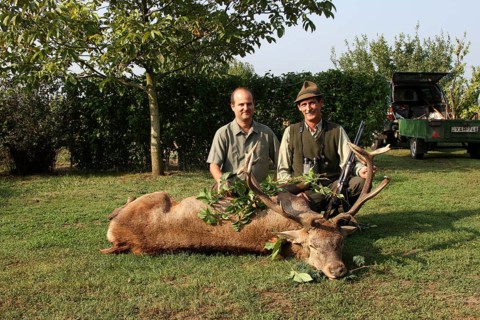 Red deer (Cervus elaphus) shot during the rut, 14 years old, abnormal, hunter and hunting guide,