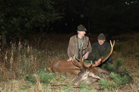 Red deer (Cervus elaphus) shot in the rain during the rut, hunter left, with hunting guide, Western