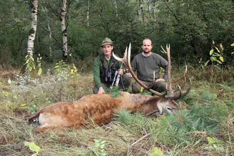 Red deer (Cervus elaphus) shot during the rut, 12 years old, hunter left, and hunting guide,