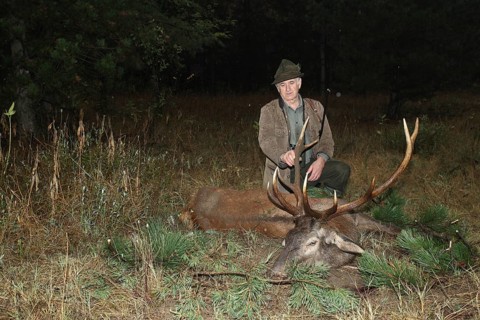 Red deer (Cervus elaphus) shot in the rain during the rut, western Hungary, Hungary, Allgäu,