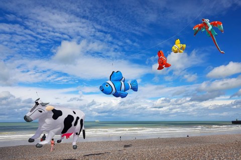 Kite festival on the beach, International Kite Festival, Dieppe, Normandy, France