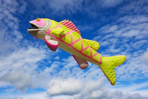 Kite festival, international kite festival, kite in the shape of a fish, Dieppe, Normandy, France