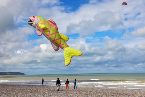 Kite festival on the beach, international kite festival, kite in the shape of a fish, Dieppe,