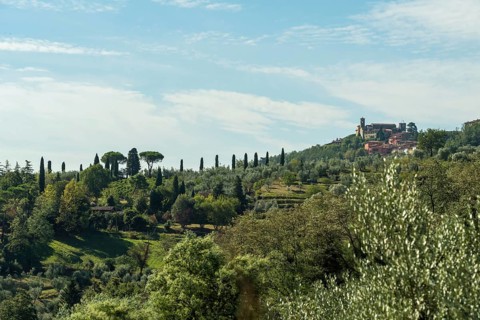 Italy, Tuscany, pines, Castello, castle, mountain, landscape, hill, green