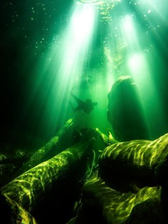 River diving, scuba, diving, magic, underwater, fairy world, sunbeams, light, green, diffuse,