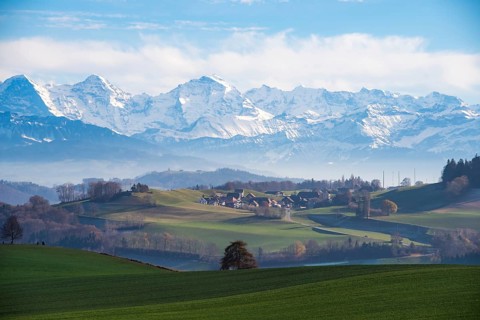 Triumvirate, Alps, Bernese Oberland, layers, Gurtendorf, view, tree, focus, solitair, centre,