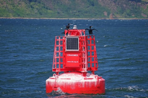 A red buoy with a cormorant rests on the sea, a silent hint in the vast waterscape, Moray Firth,