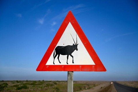 Beware of oryx antelopes (Oryx gazella) sign on a road near Oranjemund, Diamond Sperrgebiet, Karas