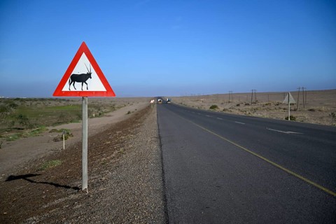 Beware of oryx antelopes (Oryx gazella) sign on a road near Oranjemund, Diamond Sperrgebiet, Karas