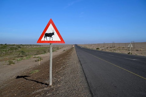 Beware of oryx antelopes (Oryx gazella) sign on a road near Oranjemund, Diamond Sperrgebiet, Karas