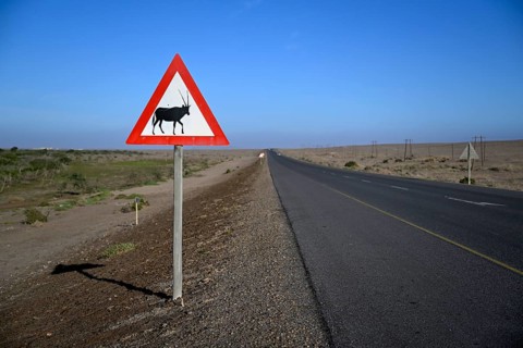 Beware of oryx antelopes (Oryx gazella) sign on a road near Oranjemund, Diamond Sperrgebiet, Karas