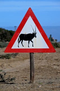 Beware of oryx antelopes (Oryx gazella) sign on a road near Oranjemund, Diamond Sperrgebiet, Karas