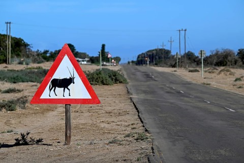 Beware of oryx antelopes (Oryx gazella) sign on a road near Oranjemund, Diamond Sperrgebiet, Karas