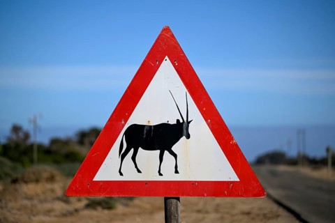Beware of oryx antelopes (Oryx gazella) sign on a road near Oranjemund, Diamond Sperrgebiet, Karas