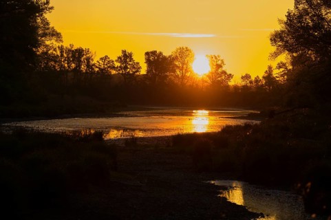 Morning atmosphere, riparian forest, sunrise, Lower Austria
