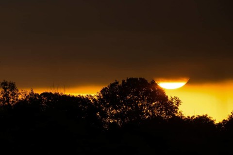 Morning atmosphere, riparian forest, sunrise, dense clouds, Lower Austria