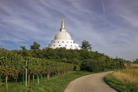 White pagoda at the end of a cobbled path between vines under a cloudy sky, Stupa am Wagram