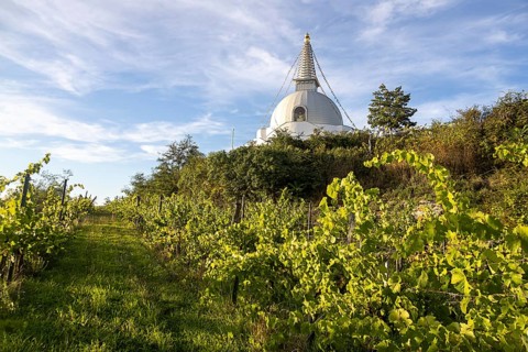 White stupa in the middle of vineyards, under a wide blue sky, peaceful atmosphere, Stupa am Wagram