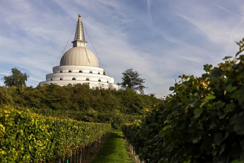 White pagoda behind vineyards in front of a cloudy sky, Stupa am Wagram Grafenwörth Weinviertel