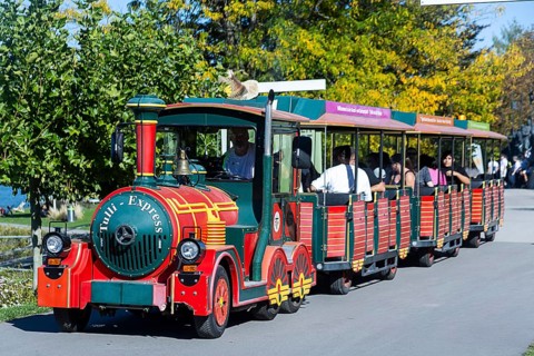 A colourful miniature train with cheerful tourists travels along a tree-lined road, Tulln