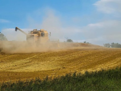 A combine harvester drives across a dusty field under a blue sky, surrounded by harvest and nature,
