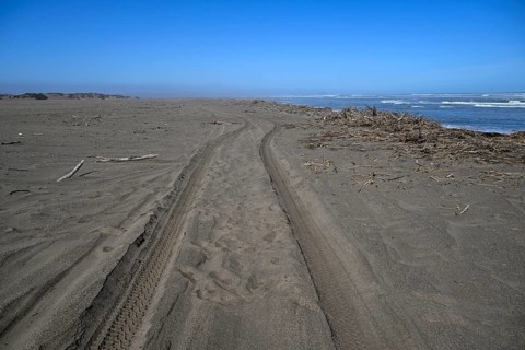 Beach on the Atlantic Ocean near Oranjemund, diamond restricted area, Karas region, Namibia